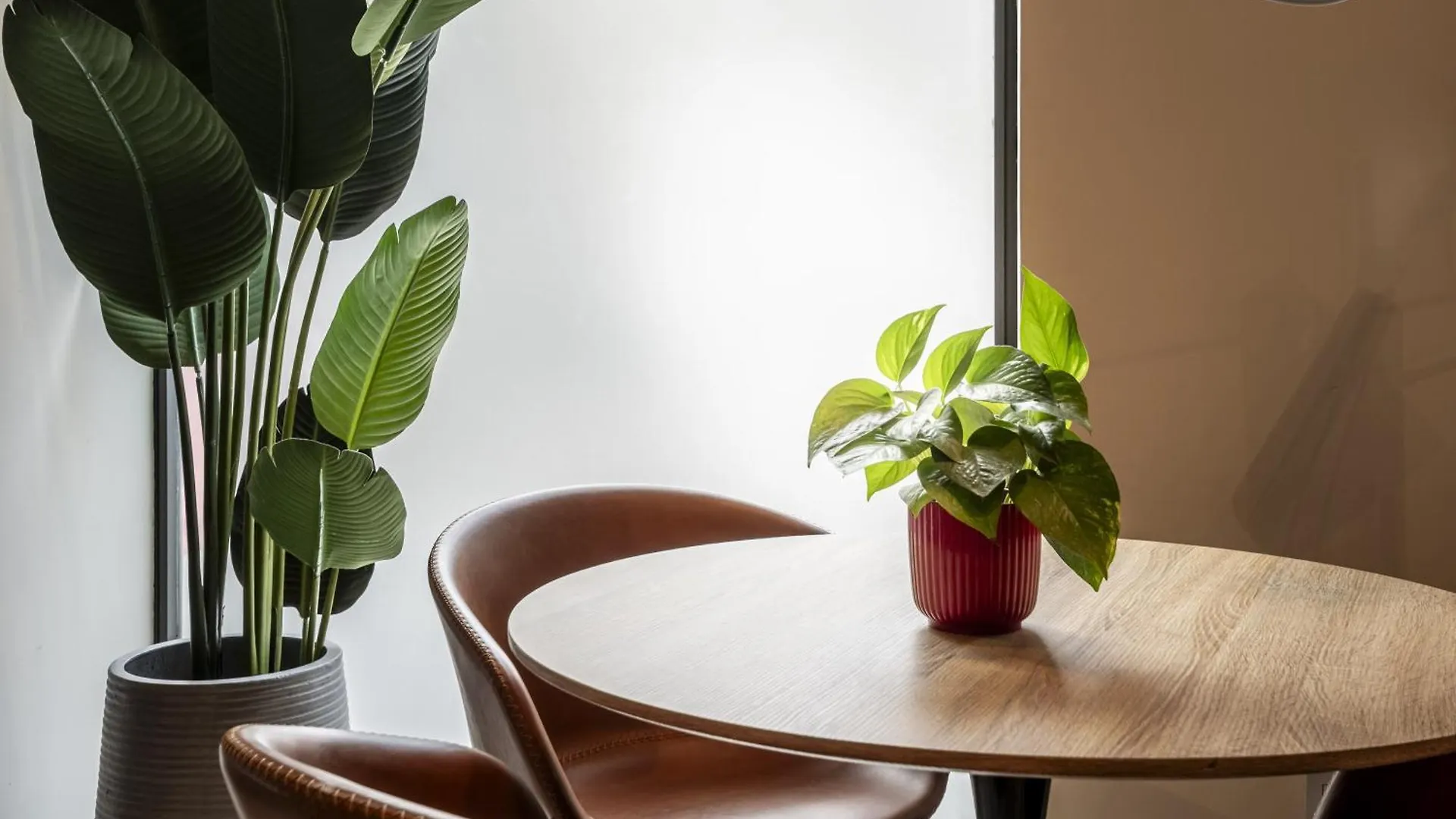 Apartment Caterina Universitat Barcelona